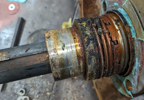Mechanical seal replacement Mechanical seal replacement